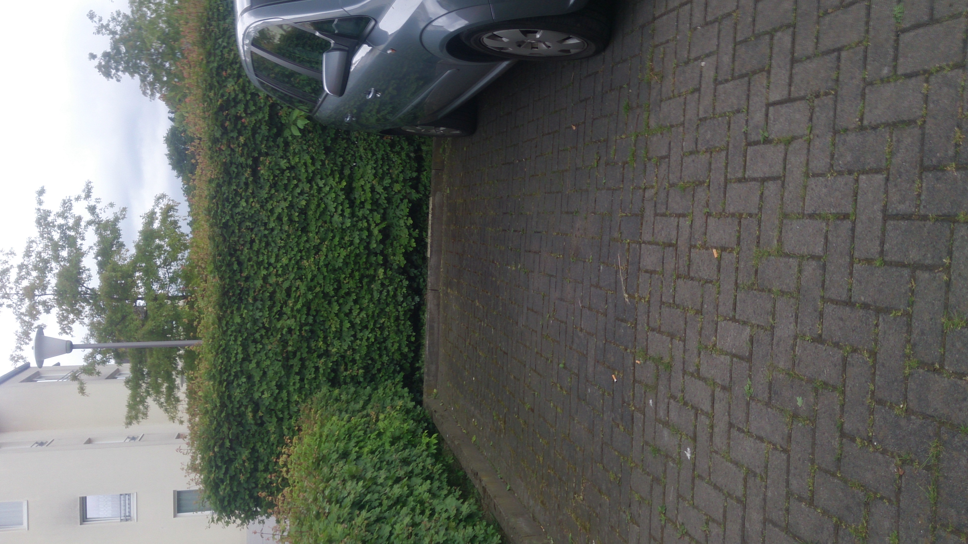 Münster, Coerde – Bild 1