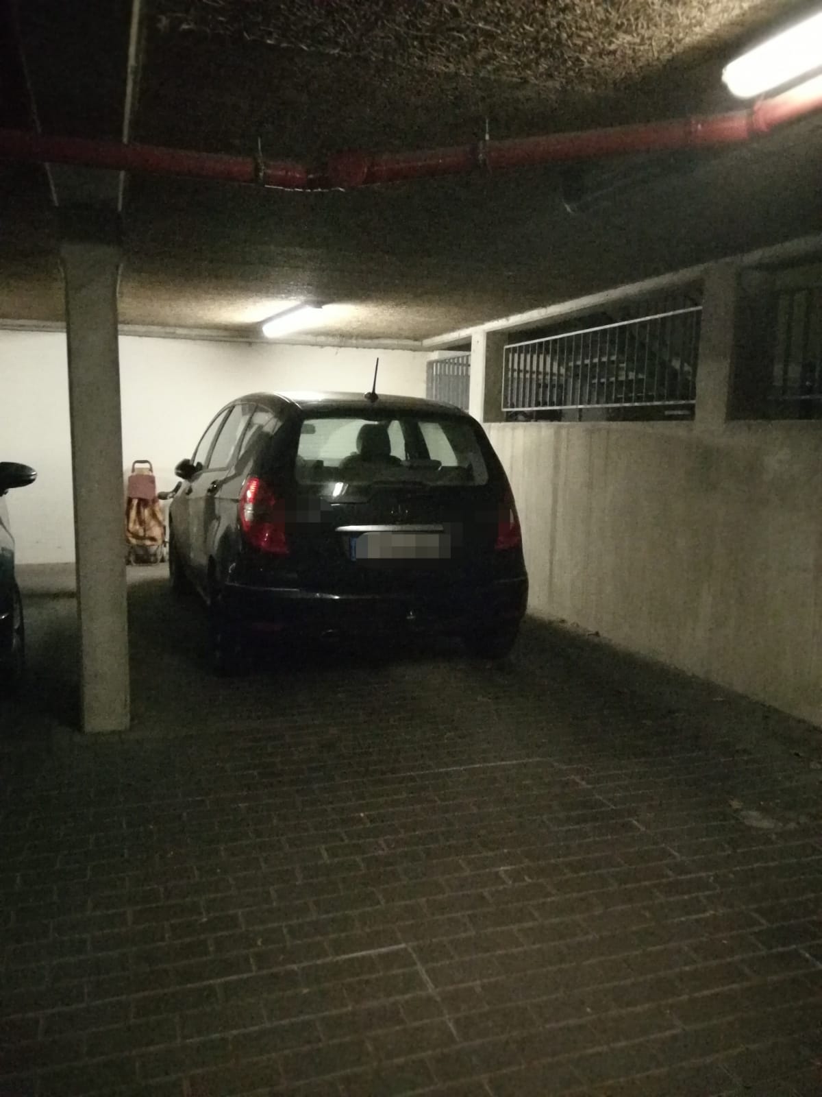 Florakiez – Bild 2